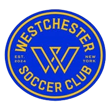 西切斯特队标,西切斯特图片