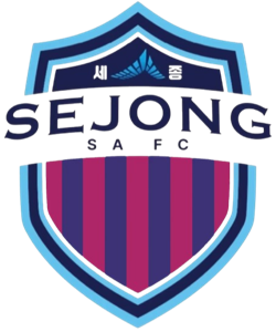 世宗队标,世宗图片