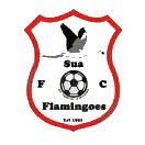 苏阿火烈鸟队标,苏阿火烈鸟图片